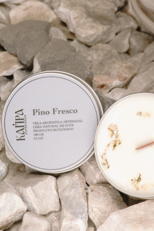 5K4A3091-Edit PINO FRESCO